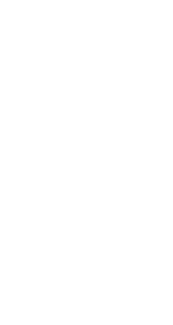 20 07